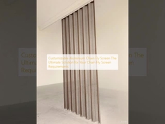 Προσαρμόσιμη Αλυσίδα Σίτας Αλουμινίου: Η Απόλυτη Λύση για τις Απαιτήσεις σας σε Σίτες Αλυσίδας