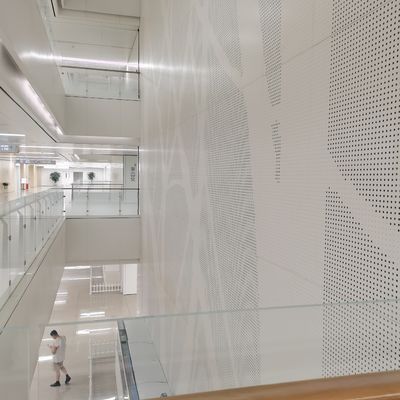 Πρωταθλήτρια αρχιτεκτονική πλεγμένη συρματόπλεγμα για τοίχο